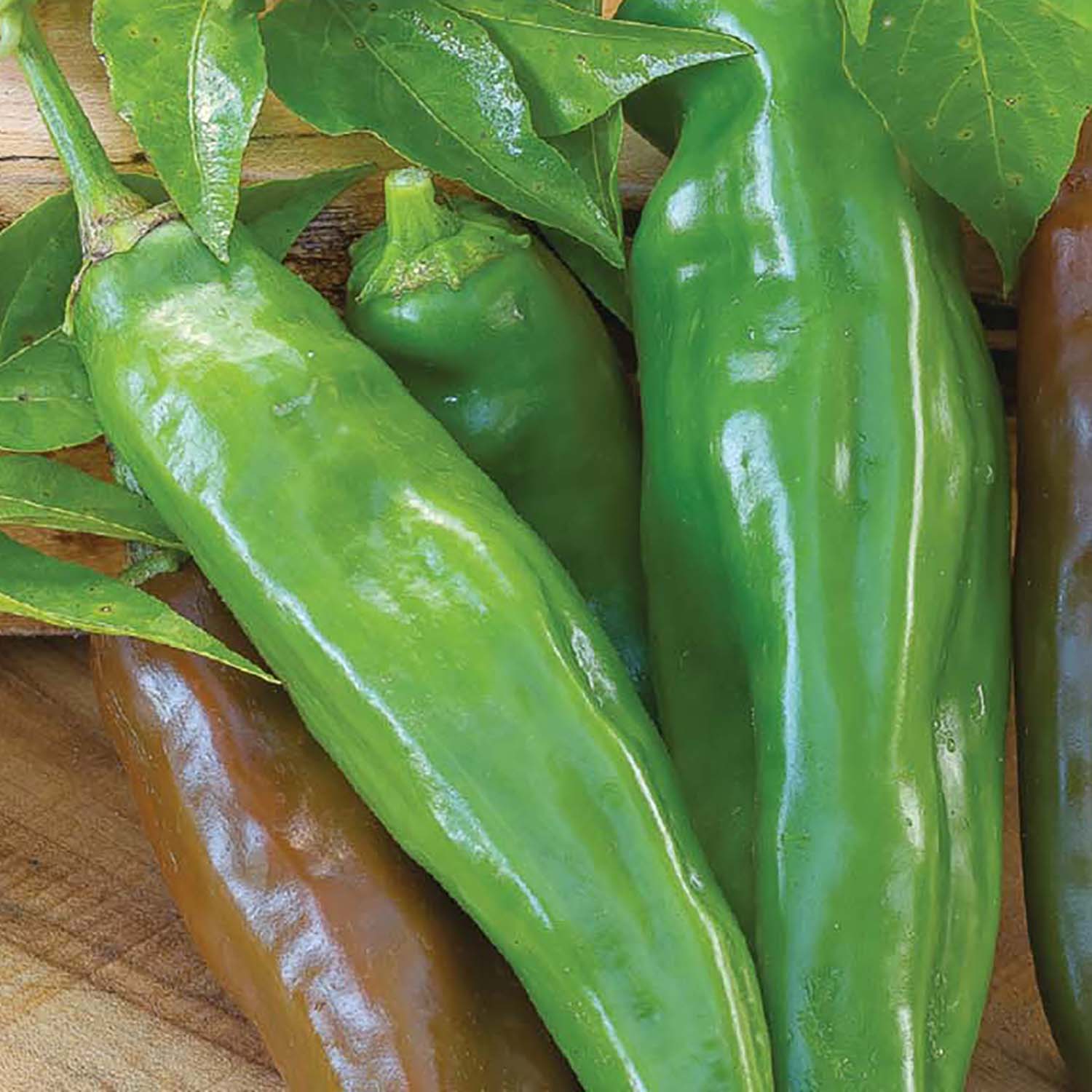 A cluster of fresh Anaheim chili peppers with leaves attached, displayed on a wooden surface.
